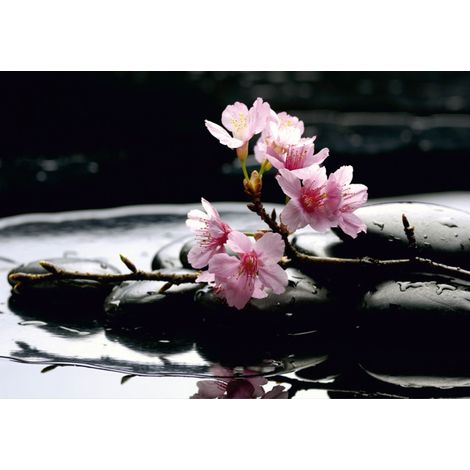 papier peint panoramique fleurs rose et noir - Sanders & Sanders (1/4)