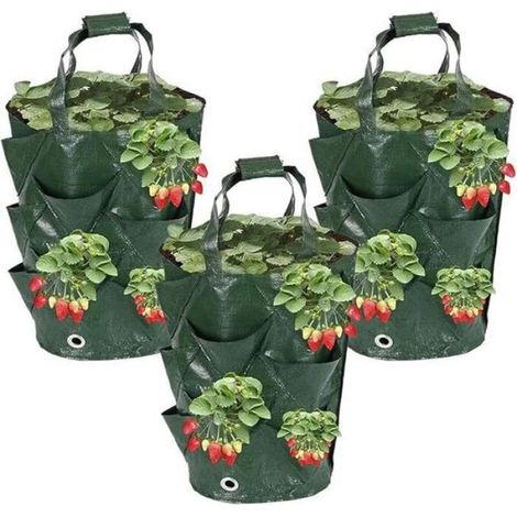 Sacs de Culture pour fraisiers - 3 pièces. Sacs suspendables pour fraisiers.Pots de 11 L pour tomates sur Balcon (1/5)