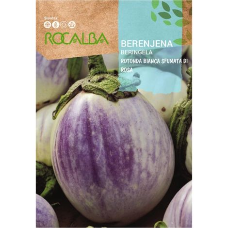 Rokalba -Seed -Aubergine Bianca Sfumata di ROS 500G