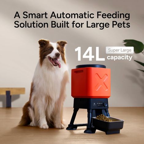 Distributeur automatique de croquettes pour grand chien 14L, gamelle en acier inoxydable, système anti-bourrage, programmable, stable avec ventouses, double alimentation secteur et piles, idéal pour c