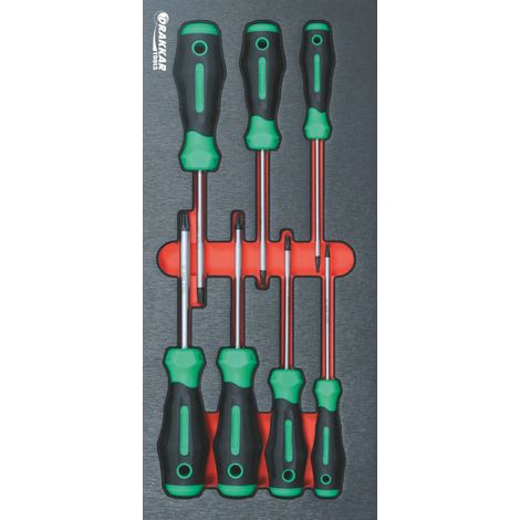 Module mousse 395x178mm métal tournevis Torx® - 7 pcs - Ce produit de marque DRAKKAR est neuf.
