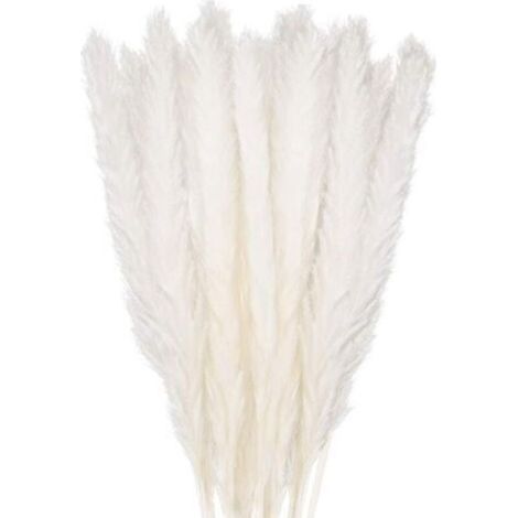 30 herbes de pampa, bouquet d'herbe de pampa naturelle de 40 cm, vase de fleurs séchées, décoration de style bohème blanc, chambre à coucher, salon, photographie de mariage, décoration de bureau (1/5)