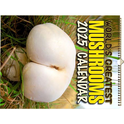 Calendrier mural 2025, élégant et raffiné, motif champignons, idéal pour le salon ou le bureau. Cadeau en anglais. (1/5)