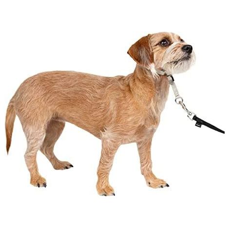 Anti-Zug-Hundekopfgeschirr, weiches Halfter im Gentle Leader-Stil, rehbraun, für Training und Spaziergänge ohne Ziehen (1/4)