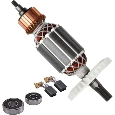 Ancre de Rotor 220V pour Marteau Rotatif à Tige Cannelée Pièce de Rechange DH40MRY DH40M DH40MR (1/4)