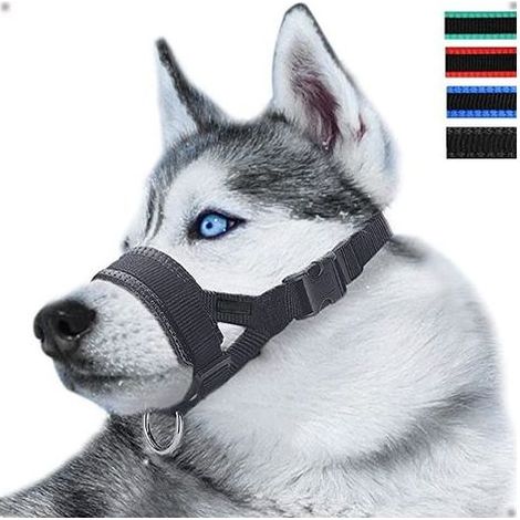 Muselière en nylon réglable pour chiens – Anti-aboiement et anti-morsure – Confortable et sécurisée – Différentes tailles disponibles (1/5)