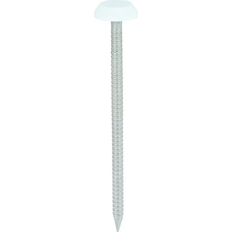 TIMCO Polymer Headed Nails A4 Stainless Steel White - 65mm
