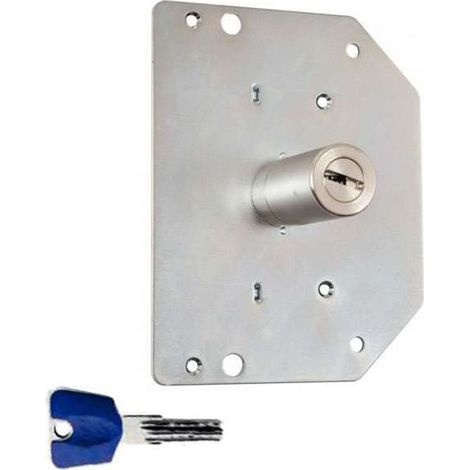 Cilindro con Foderina K55N 3 Cr per Serie 3000 D.mm 29 L.mm 60