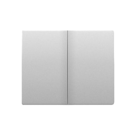 Tecla doble interruptor o conmutador ALUMINIO MERCURIO BJC IRIS 18709-MA (1/2)