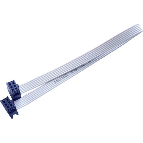 BKL Electronic 10120666 Flachbandkabel Rastermaß: 2.54 mm 6 x 0.08 mm² Grau 1 St.