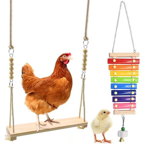 Jeu combiné balançoire et xylophone, lot de 2 jouets d’enrichissement en bois pour enclos à volailles, accessoire de divertissement suspendu pour coqs, poules, poussins, perroquets et aras, ensemble d (1/5)