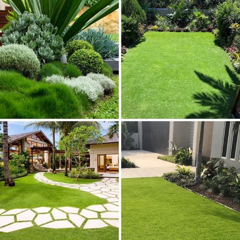 Gazon À Semer Résistant 5kg (150–200 m²) – Pousse Rapide Pelouse Rustique Vert Vif pour Ombre et Zones Fraîches (1/5)