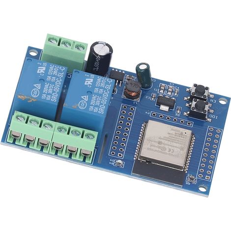 Module relais double avec touches programmables et mémoire flash de 4 Mo pour l'apprentissage du développement secondaire (5-60 V CC). (1/5)