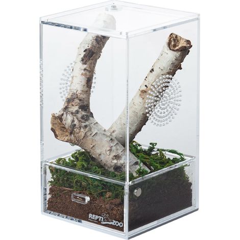 Terrario in acrilico Repti-Zoo Easy Clean - 10x10x20 cm (1/5)