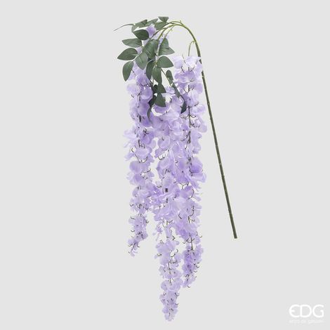 EDG Glicine Ramo x 3 H 150 cm (1/4)