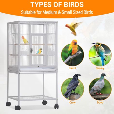 Cage à Oiseaux 41 Pouces - Grande Volière pour Perruches, Perroquets, Cockatiels - Roulettes & Plateau Nettoyable - Blanc (1/5)