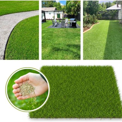 Gazon À Semer Facile À Planter 500g (15–20 m²) – Pousse Rapide Pelouse Rustique Vert Vif pour Ombre et Zones Fraîches – Semence Résistante (1/5)
