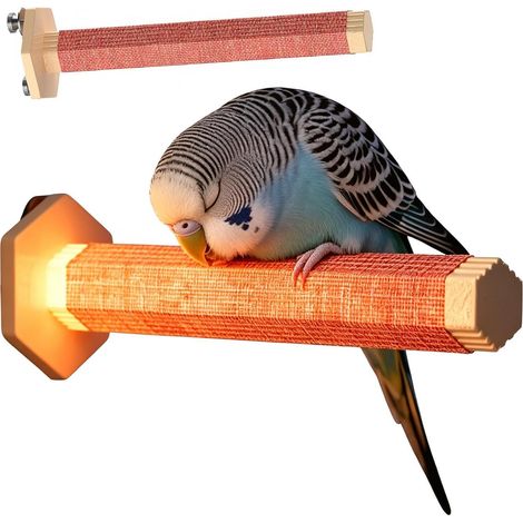 Chauffage d'oiseau thermostatique ignifugé pour cage Perchoir chauffant à température constante pour perroquet, perruche, pinson, canari, ara, intérieur et extérieur, hiver, temps froid