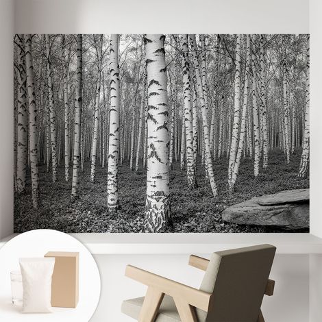 Papier peint intissé avec imprimé installation simple qualité excellente sans désordre - Colle incluse gratuite Forêt de bouleaux 104x70 cm (1/5)
