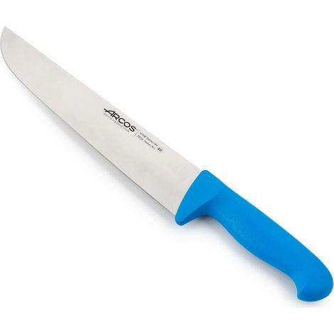 Coltello da macellaio Arcos Colore - Prof. 291823 acciaio inox Nitrum e mango ergonomico blu Polipropilene e 25 lama cm. (1/5)