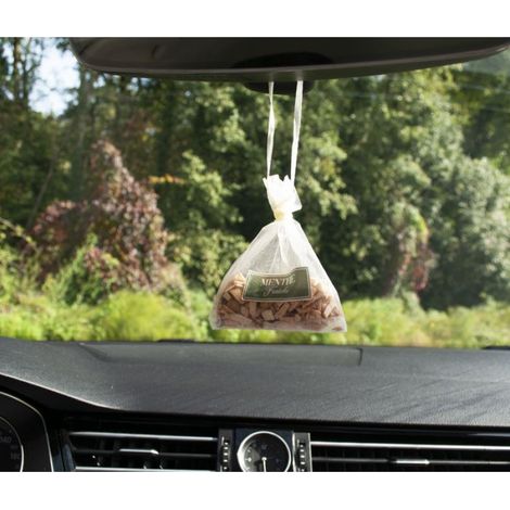 AUTO NATURE sachet copeaux bois. Menthe fraîc - désodorisant voiture (1/4)