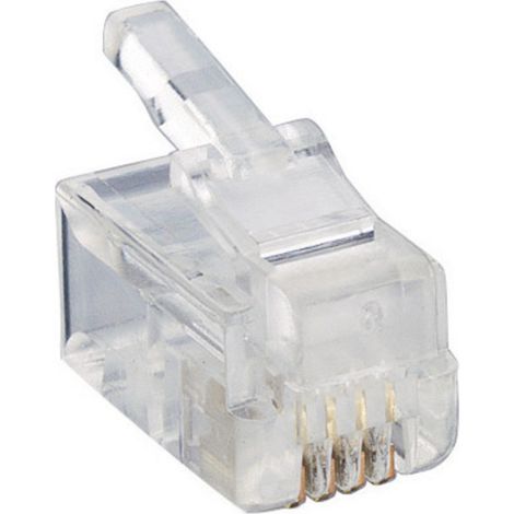 Fiche modulaire mâle Lumberg P 126 RJ10 mâle, droit RJ10 Pôle: 4p4c transparent 1 pc(s)