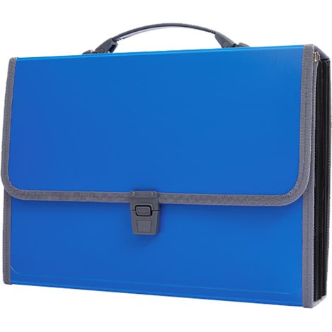 Dieser Dokumentenorganizer verfügt über einen ergonomischen Griff, farbige Etiketten, ein erweiterbares Fach und ein großes, wasserdichtes Fach zur Aufbewahrung von Dokumenten. Er ist aus Polypropylen