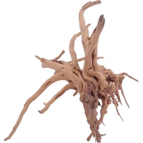 M Moorkienwurzel Nr.4419 Holz Deko Aquascaping