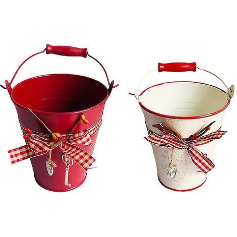 Lot de 2 pots de fleurs décoratifs en fer (1/3)