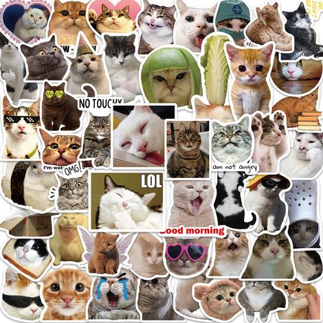 50 lustige Tiermeme-Katzenaufkleber im Vintage-Stil zum Dekorieren von Notizbüchern, Koffern, Motorrädern, Laptops, Kühlschränken usw. (1/3)
