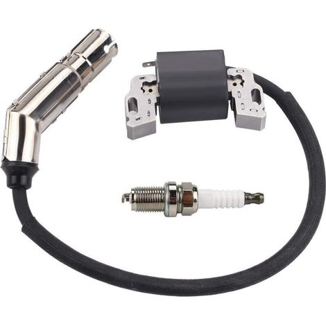 595304 Zündspulen-Magnetanker für Briggs & Stratton 591459 799650 592841 795315 490586 492341 798853 495859 (1/4)