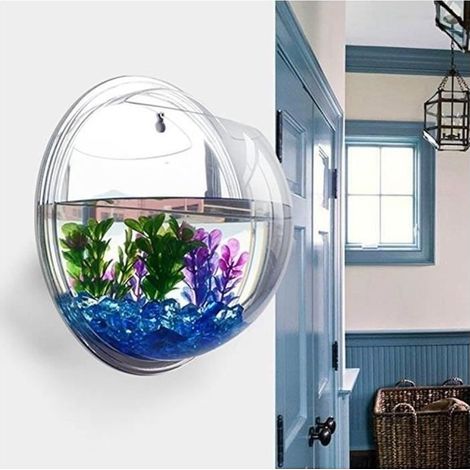 (Transparent)Aquarium mural à suspendre en acrylique transparent, claire, 23 cm (1/4)