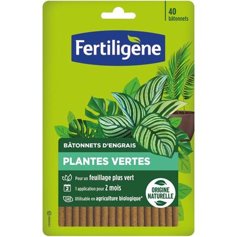 FERTILIGENE - Bâtonnets plantes vertes UAB x 40