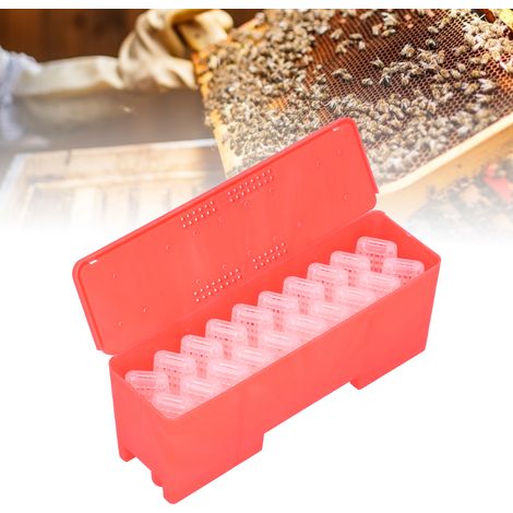 [Caja de transporte para abejas] Jaulas de transporte de plástico para abejas reinas – paquete de 20 con caja de cartón (1/5)