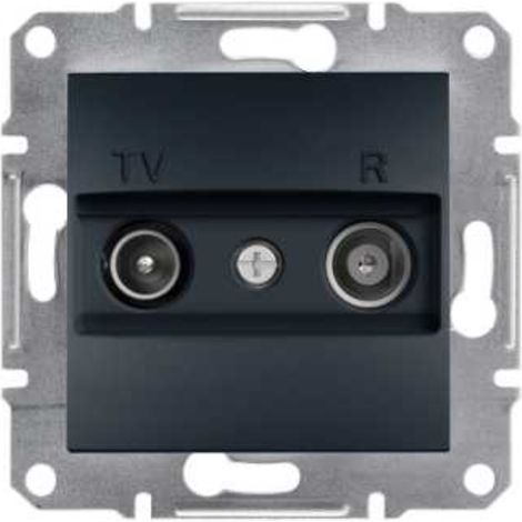 Douille de borne Asfora RTV sans cadre anthracite EPH3300171