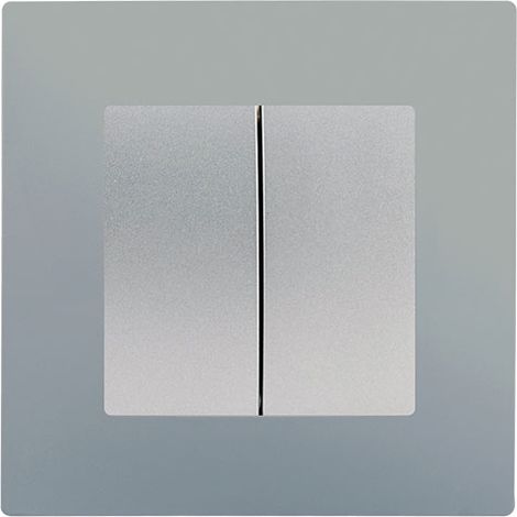 Double Va et Vient Silver Delta Viva + Plaque Silver