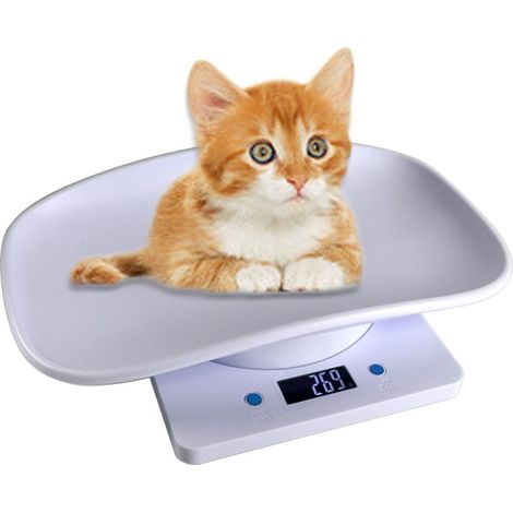 Balance Numérique pour Animaux de Compagnie - Capacité 15kg avec Écran LCD, Pesée Précise pour Petits Animaux (1/5)