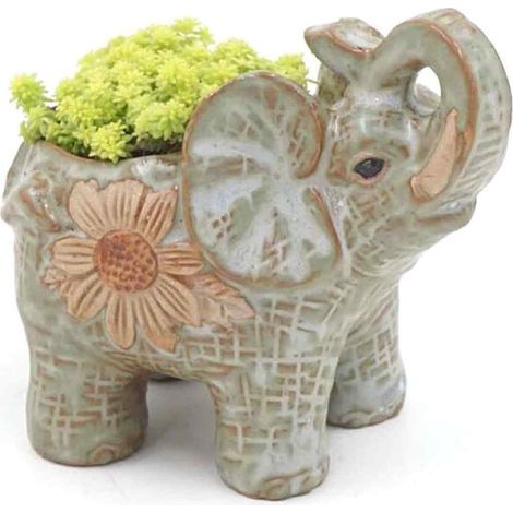 Céramique Pot Elephant Cactus Succulent Plant Pot Fleur Jardinière Mini Jardin (1/5)