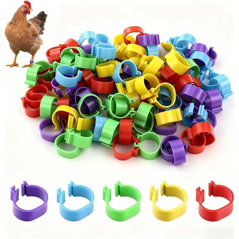 250 Pièces Bagues pour Pattes de Volaille 16 mm, Anneaux de (1/5)