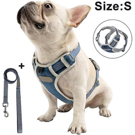 Harnais de poitrine pour chien avec corde de traction, gilet respirant pour animaux de compagnie pour la promenade en extérieur, le dressage et le contrôle des races moyennes et grandes (1/5)