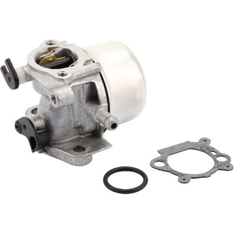 Carburateur BRIGGS ET STRATTON 799871 (1/2)