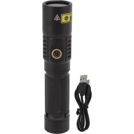 Lampe de poche UV Portable 365nm, torche à lumière noire LED pour la détection de l'urine des animaux domestiques, résine minérale solidifiée, Scorpion (1/5)