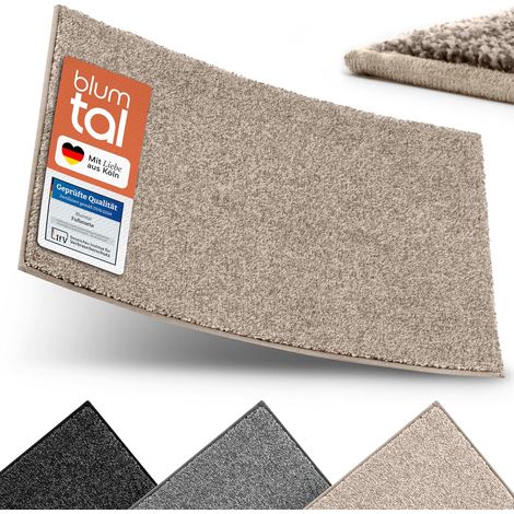 Paillasson pour l'extérieur et l'intérieur 50 x 80 cm - Paillasson Anti-salissures en Microfibre avec Envers imperméable en TPR - antidérapant - en Microfibre Haute Performance - Beige (1/5)