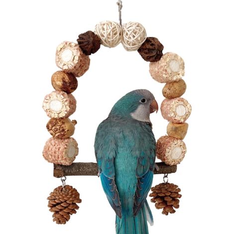 Balançoire pour oiseaux, support avec barre de morsure pour petits oiseaux et perruches, jouet de décompression pour cages et parcs à oiseaux. (1/5)
