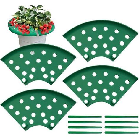 Porte-fraise tuteur cage protection pour plantes fruitières, support extérieur pour pot rosier jardin terrasse cour (1/5)