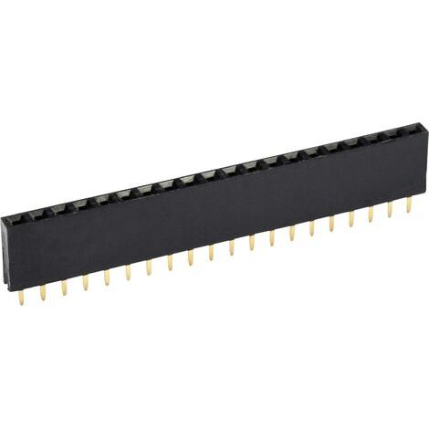 econ connect Barrette femelle (standard) Nbr de rangées: 1 Nombre de pôles par rangée: 24 BLG1X24 1 pc(s) W052921 (1/4)