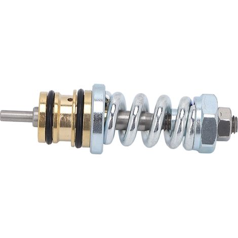 Nécessaire de soupape de décharge 309515003 Haute résistance Remplacement pour Pompe de nettoyeur haute pression Troy Bilt (1/5)