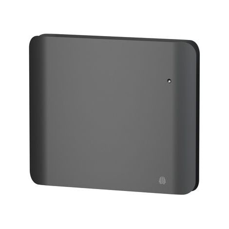 Radiateur Fonte NOIROT DOOK 1000W horizontal gris anthracite connecté NEN3363TCHS (1/5)