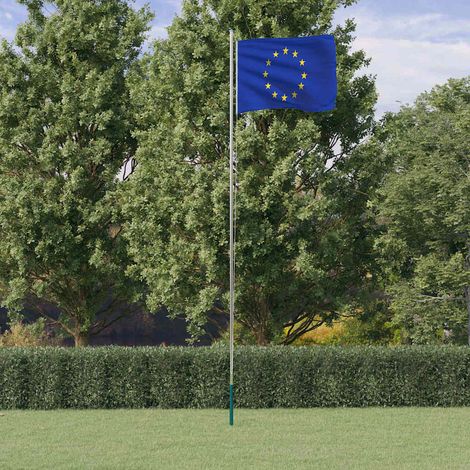 vidaXL Drapeau de l'Europe et mât 6,08 m Aluminium