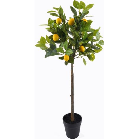 Signes Grimalt Planta Figuras Arbol Limonero M Varios Verde 14x14x95cm 36223 (1/4)